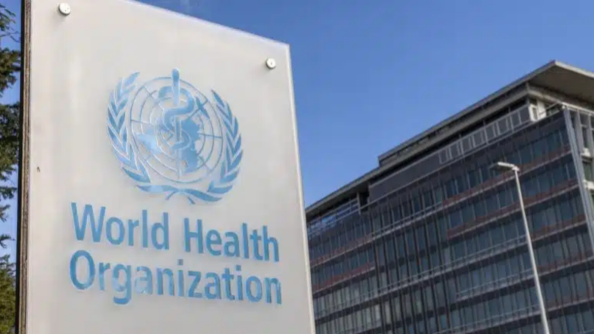 Screenshot 2025-10-26 150132 Screenshot 2025-10-26 150132