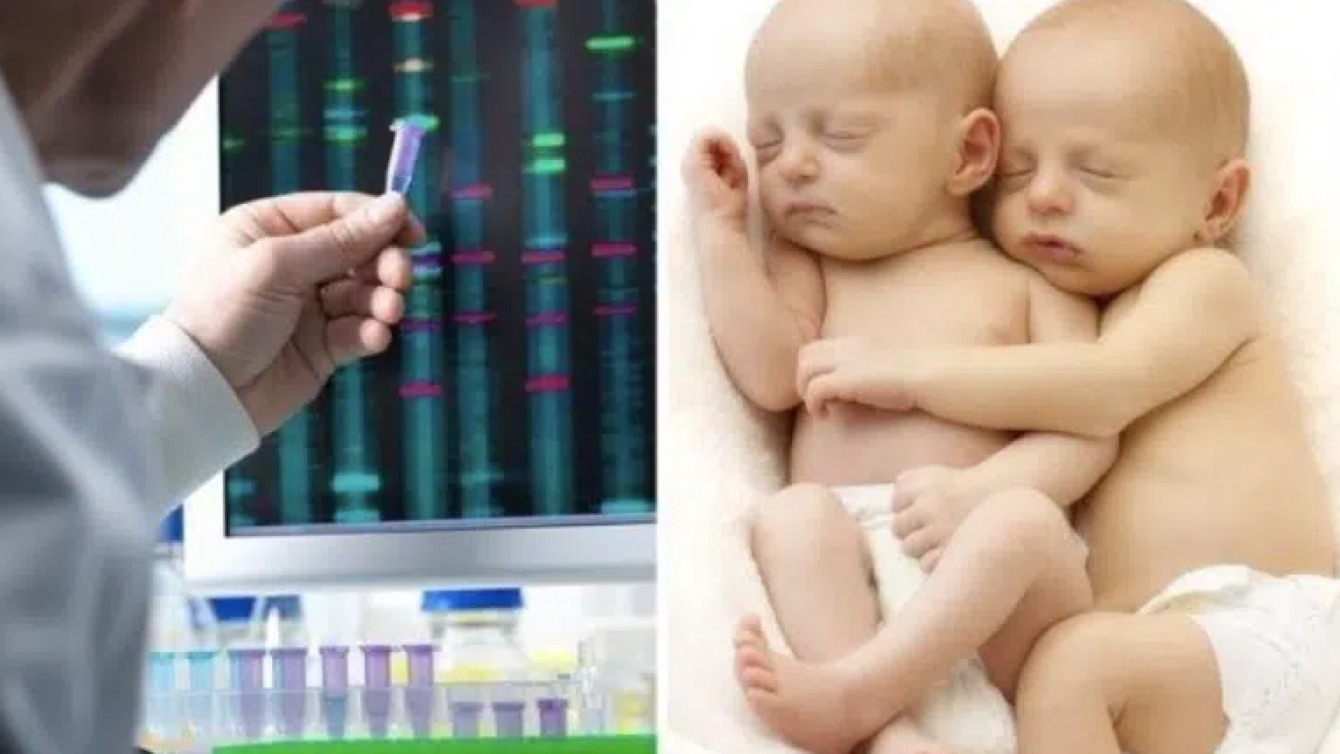 Screenshot 2025-11-13 142815