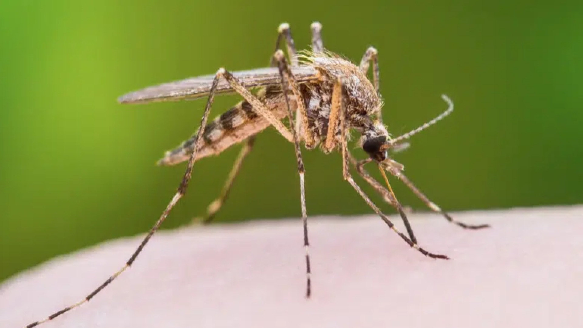 Screenshot 2026-04-02 101242