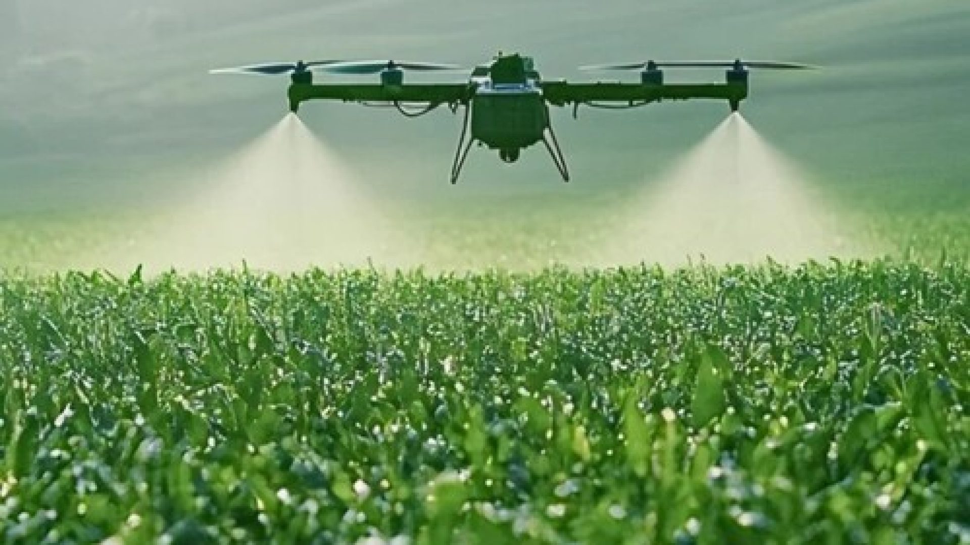 cropdrone1
